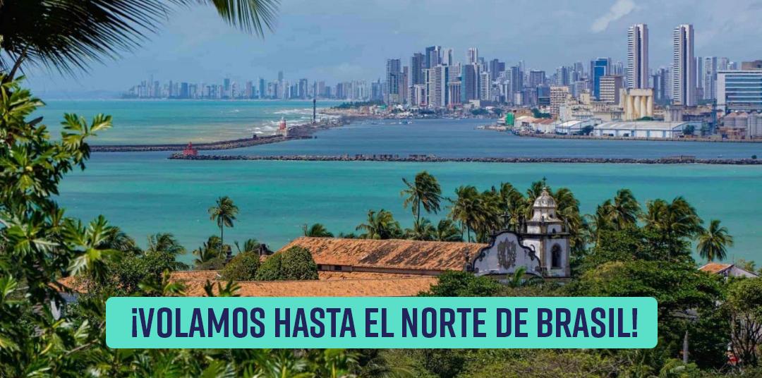 Verano 2021: Recife, Maceió y Porto Galhinas