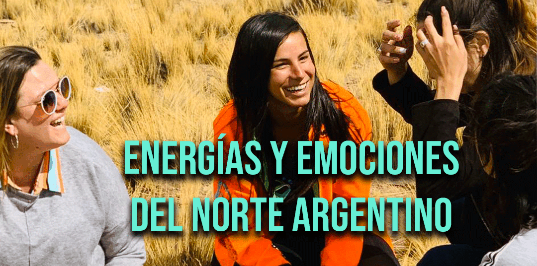 La energía del Norte Argentino La energía del Norte Argentino