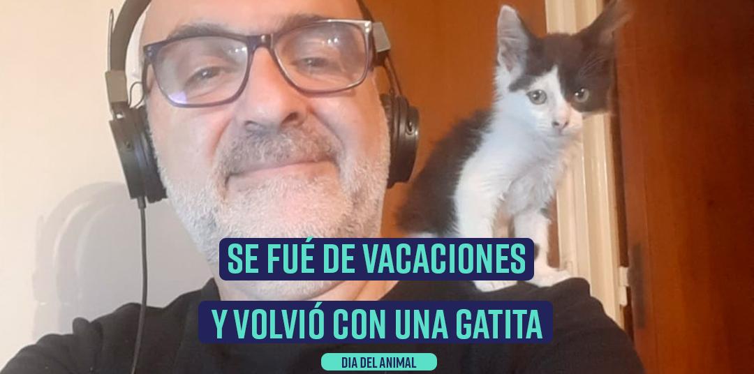 Se fué de vacaciones y volvió con una gatita. Homenaje #DiaDelAnimal Se fué de vacaciones y volvió con una gatita. Homenaje #DiaDelAnimal